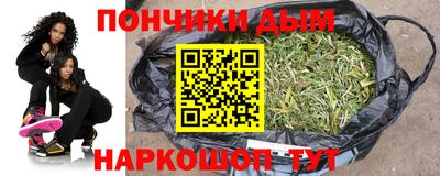 гидра Будённовск