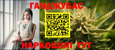 гидра Будённовск
