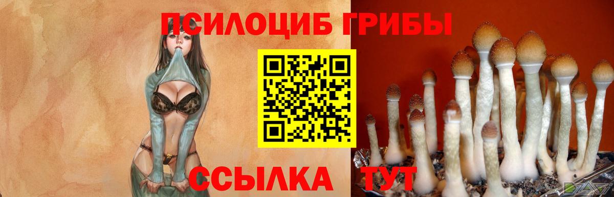 Галлюциногенные грибы ЛСД Новомосковск